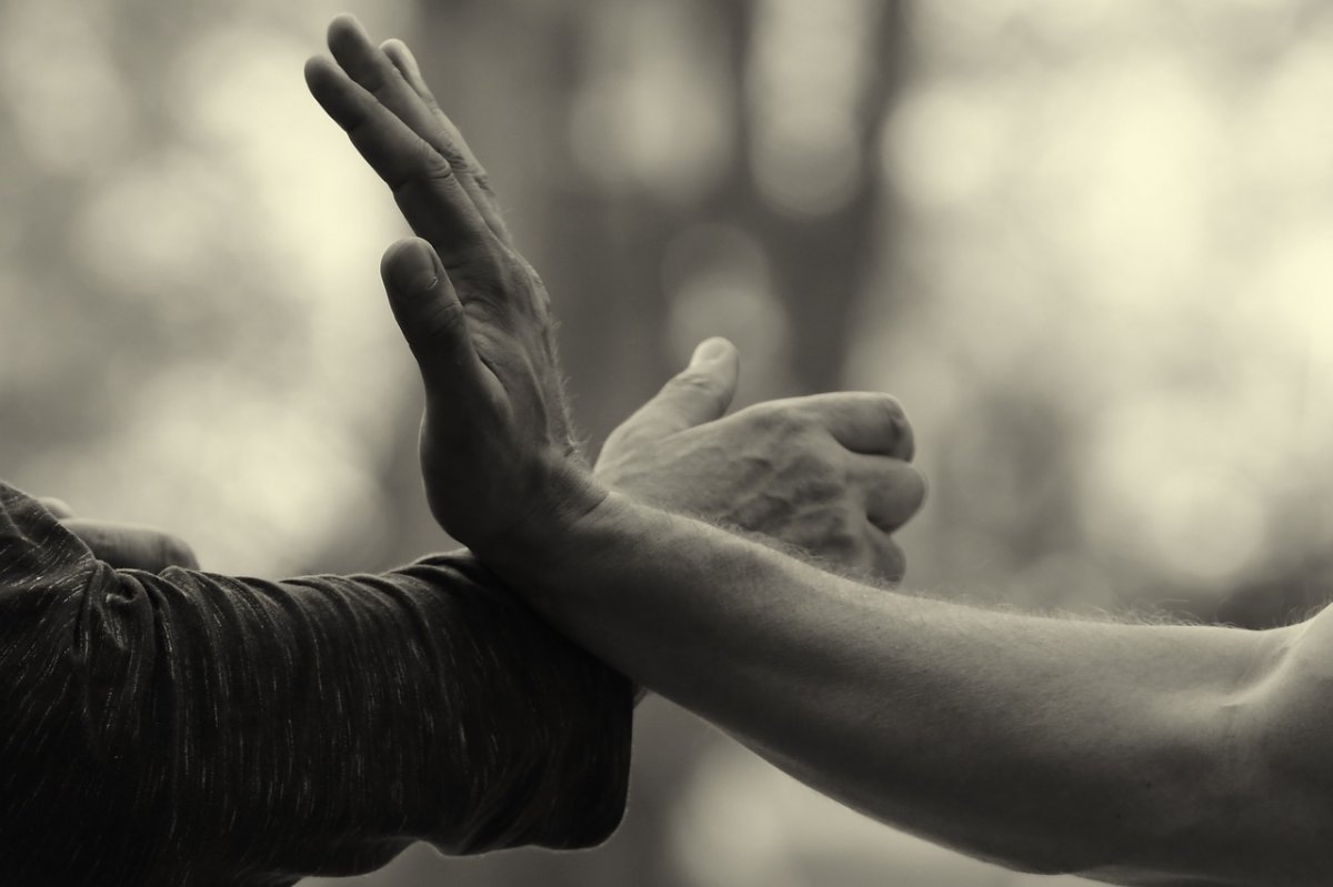 Smart Fitness X: A Martial Artist's Secret Weapon