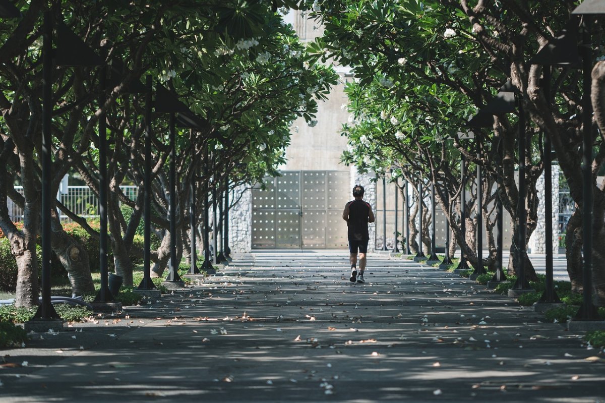 Metabolic Health and Aging: The Mitochondrial Connection