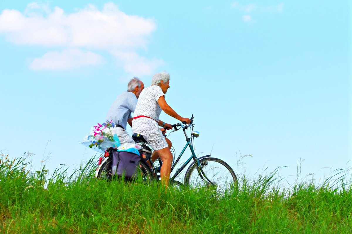 Smart Fitness X: A Revolution in Senior Fitness