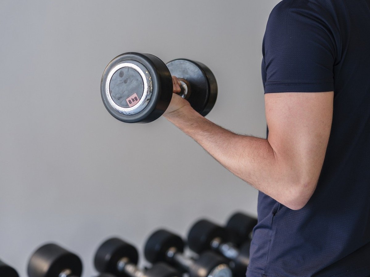 The Power of Whole Body Vibration for Muscle Recovery 
